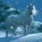 Аватар для candsingvapec