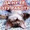 Аватар для kapitan