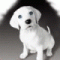 Аватар для trodgooleku